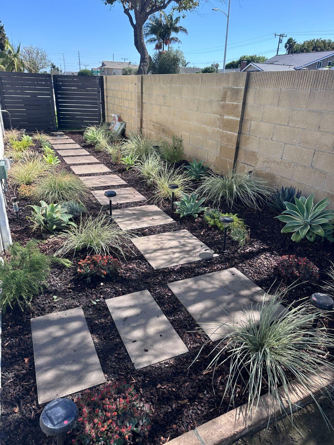 Concrete stepping-stone path through a drought-tolerant garden bed with agave, ornamental grasses, and mulch along a block wall
